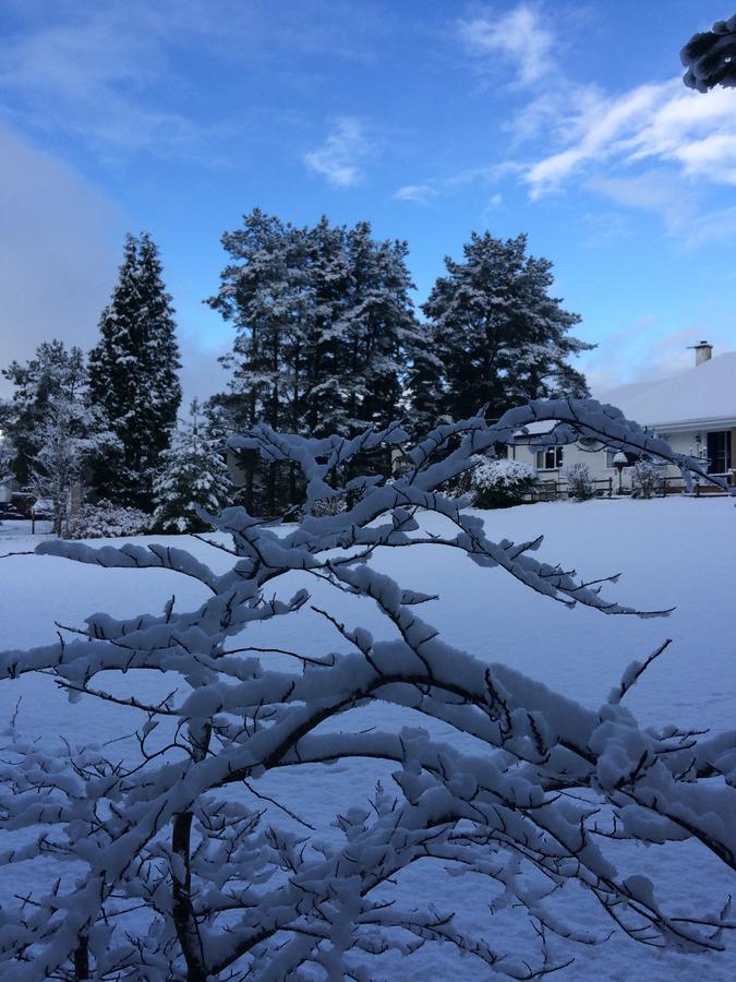 Coire Glas Guest House Spean Bridge Eksteriør billede